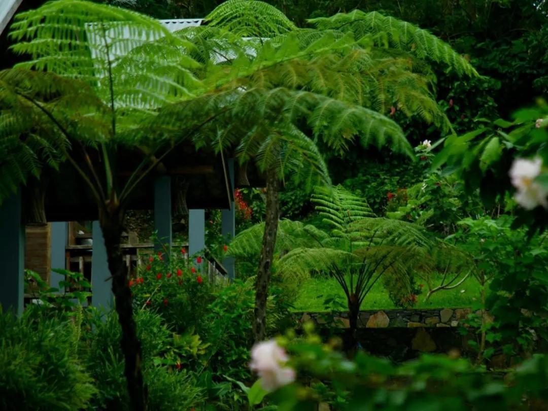 The Geckos Homestay Kelimutu Zewnętrze zdjęcie
