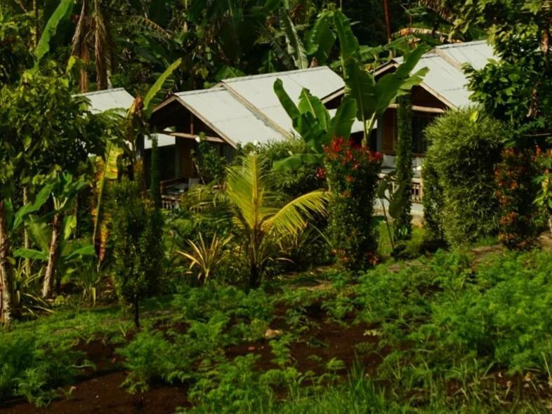 The Geckos Homestay Kelimutu Pokój zdjęcie