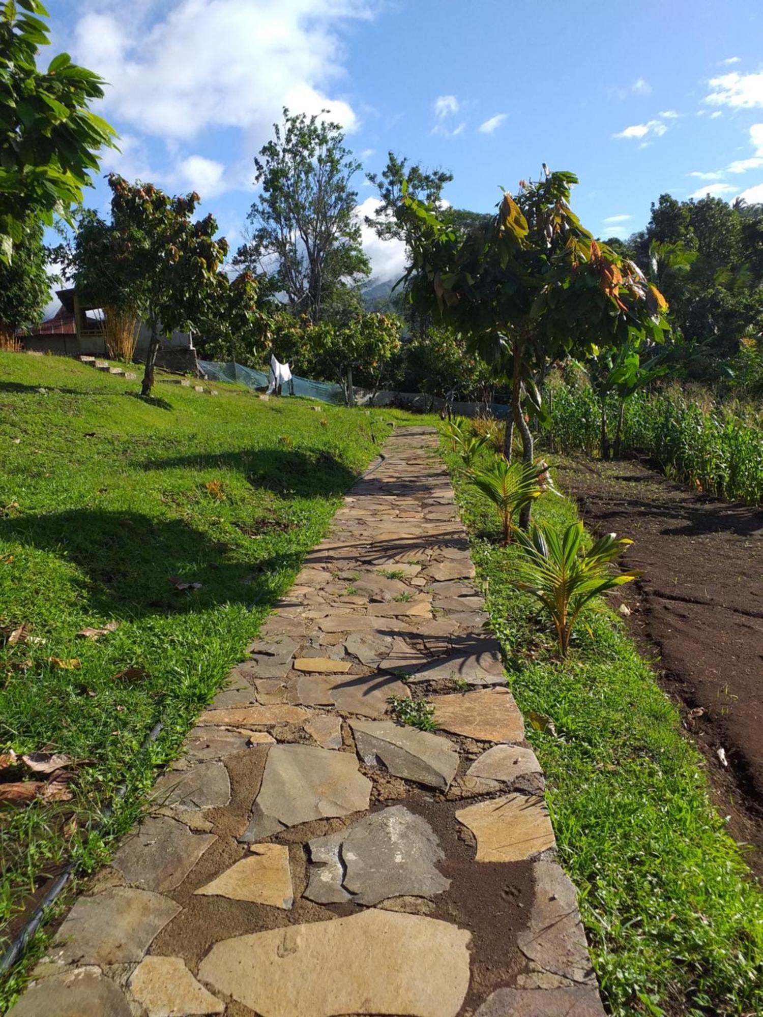 The Geckos Homestay Kelimutu Pokój zdjęcie
