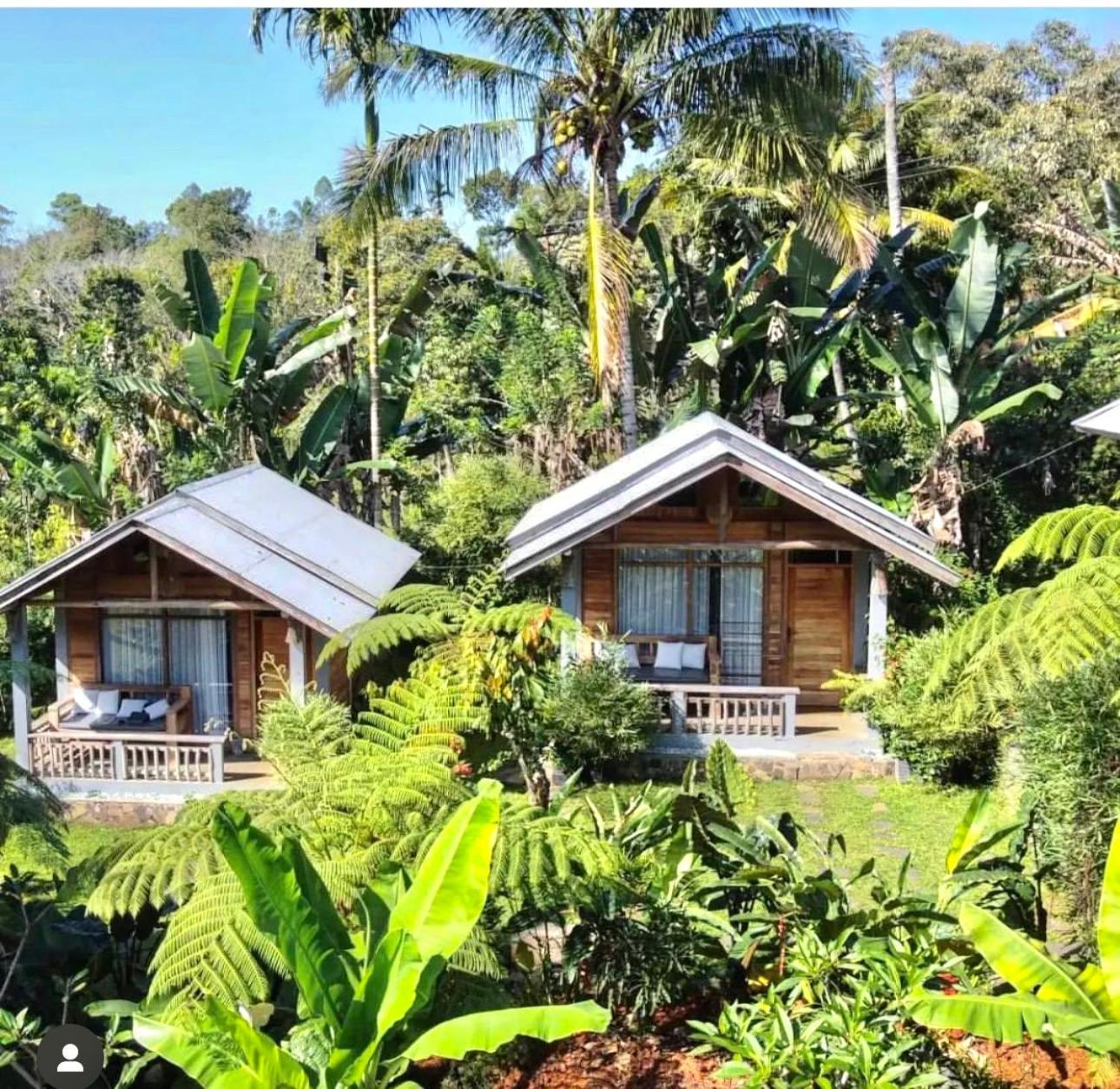 The Geckos Homestay Kelimutu Zewnętrze zdjęcie
